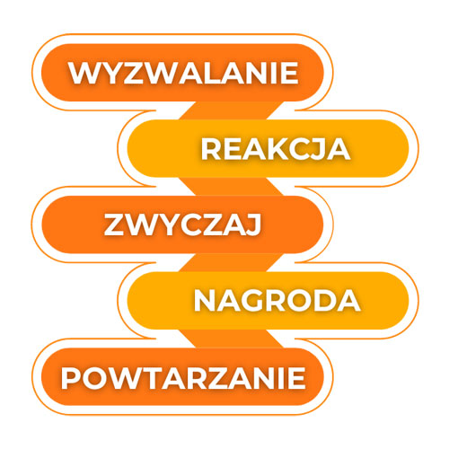 Jak działają nawyki
